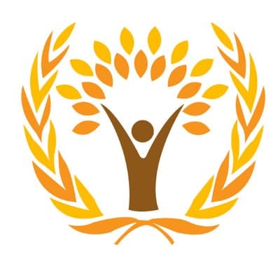 IAER Emblem
